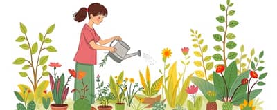 Cultivando a Mentalidade de Abundância Diariamente