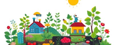 Carteira de Investimentos: Monte a Sua e Otimize Seus Ganhos