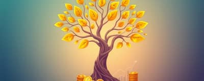 Construindo Patrimônio: Um Guia Completo para o Investidor Inteligente